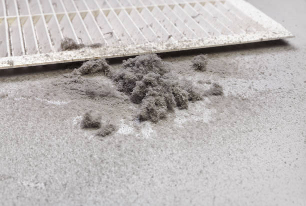 Best Affordable Duct Cleaning Services  in East Setauket, NY